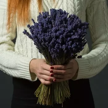 Букет "Лавандовый Рай"
