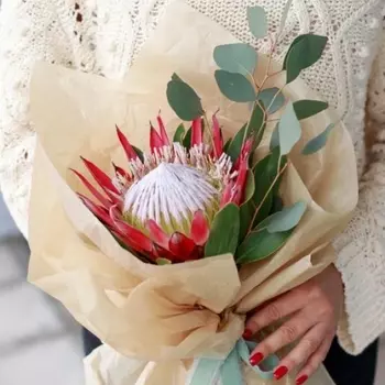 Букет "Протея"