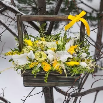 Букет "Солнечный Мир" в ящике