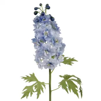 Дельфиниум Голубой