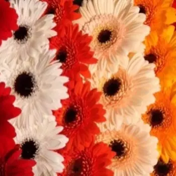 Гермини Микс