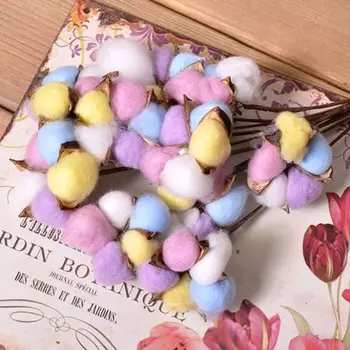 Хлопок Радужный (1 цветок)