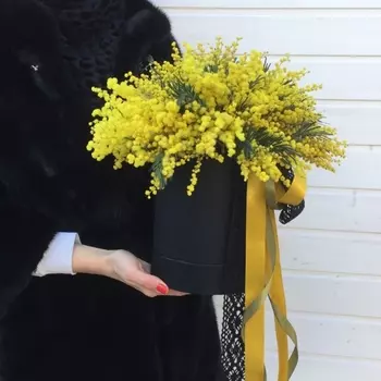 Коробка Из 10 Пучков Мимозы