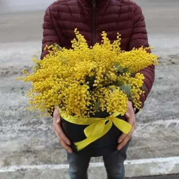 Коробка "Мимоза"