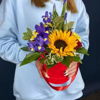 Коробка "Спектр"