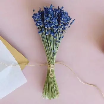 Лаванда Пучок