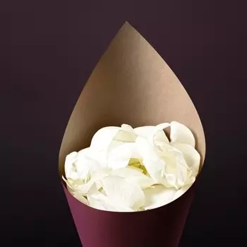 Лепестки Роз Белые