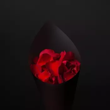 Лепестки Роз Красные