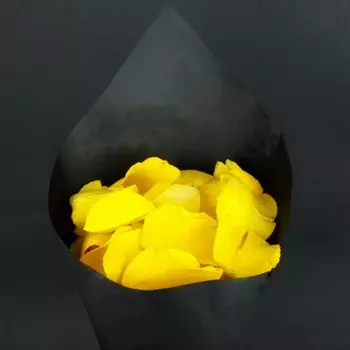 Лепестки Роз Жёлтые