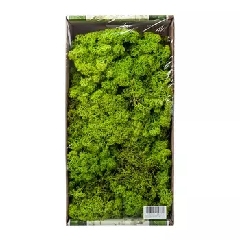 Мох стабилизированный (500 гр.)