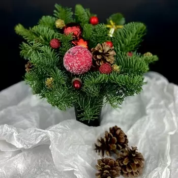 Новогодний Стаканчик "Сахарное Яблоко"