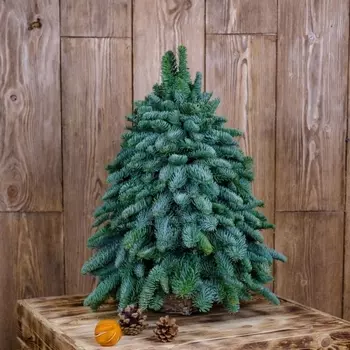 Новогодняя Ёлка (Высота 35 см.)