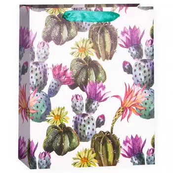 Пакет подарочный, Цветущие кактусы, 23*18*10 см