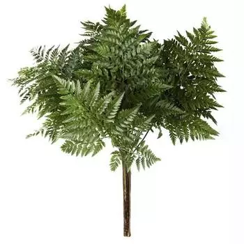 Папоротник (1 лист)