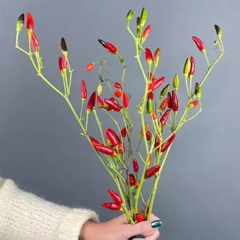 Перец Мелкий