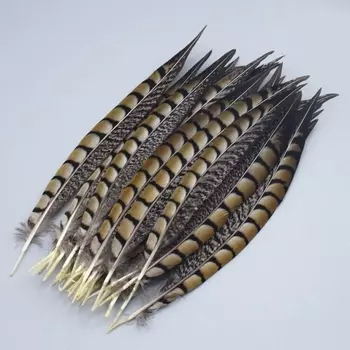 Перо Фазана