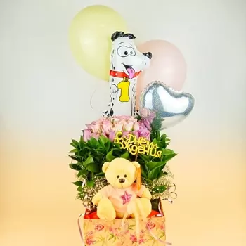 Подарочный Набор "Топтыжка"