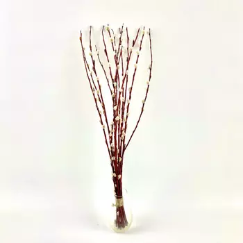 Пучок Вербы