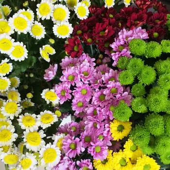 Сантини Микс