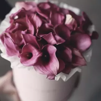 Шляпная коробка из 29 Розовых Калл