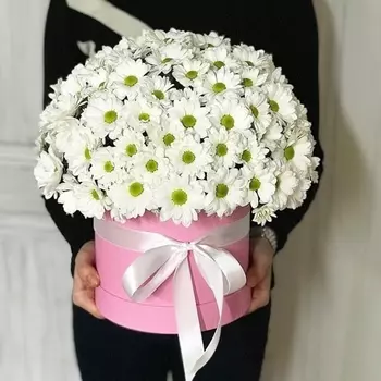 Шляпная коробка "15 Белых Хризантем"