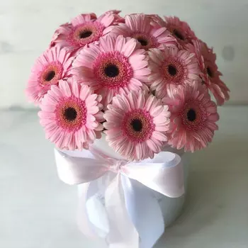 Шляпная коробка "15 Розовых Гербер"