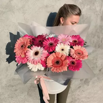 17 Гербер Микс в коробке