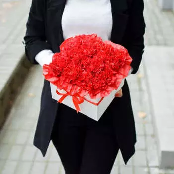 17 Красных Гвоздик в коробке