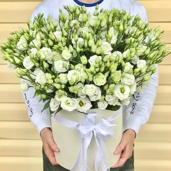 Шляпная коробка "29 Белых Эустом"