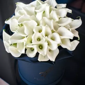 35 Белых Калл в коробке