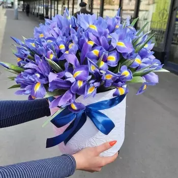 Шляпная коробка "35 Синих Ирисов"