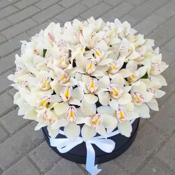 Шляпная коробка "41 Белая Орхидея"