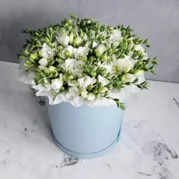 Шляпная коробка "51 Белая Фрезия"