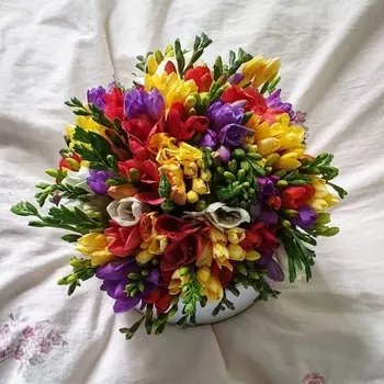 Шляпная коробка "51 Цветная Фрезия"