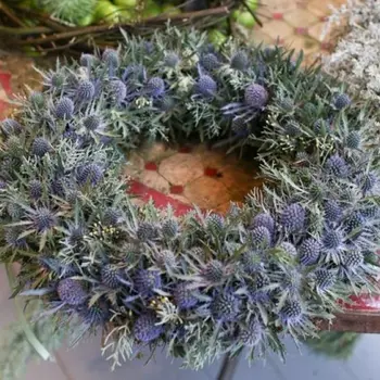 Венок "51 Эрингиум"