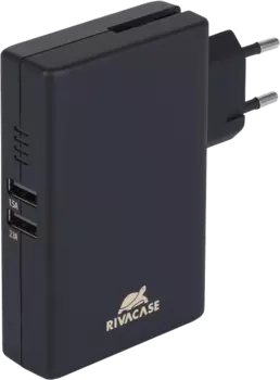 Аккумулятор RIVACASE, серый