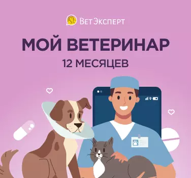 Сертификат ВетЭксперт на 12 месяцев