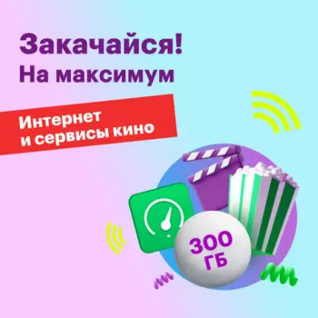 Тариф "Тариф 300 ГБ"