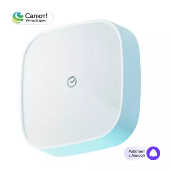 Умная кнопка Sber SBDV-00032