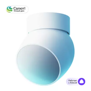 Умный датчик движения Sber SBDV-00029