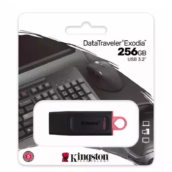 USB Flash Drive Kingston Technology 256 ГБ Data Travler Exodia 256Gb, черно-розовый