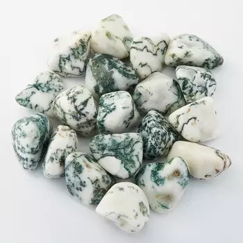 Галтовка агат древесный (2-2,5 см) (1 шт)