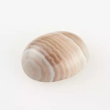 Кабошон агат серый 8*10 мм