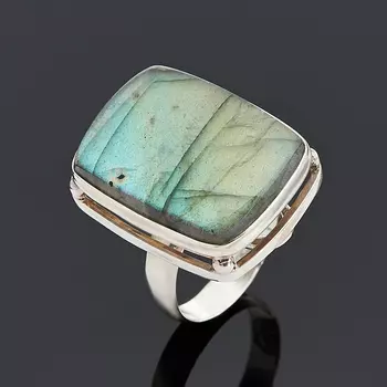 Кольцо лабрадор (серебро 925 пр.) размер 18,5