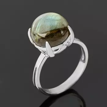 Кольцо лабрадор (серебро 925 пр.) размер 18