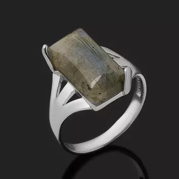 Кольцо лабрадор (серебро 925 пр. родир. бел.) размер 16,5