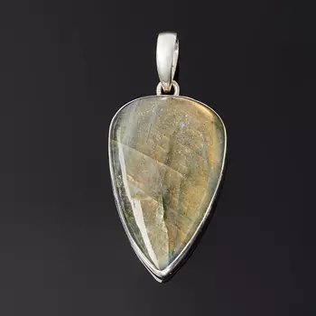 Кулон лабрадор (серебро 925 пр.)