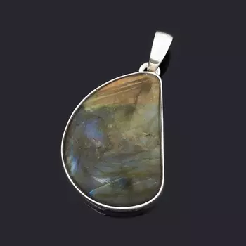 Кулон лабрадор (серебро 925 пр.)