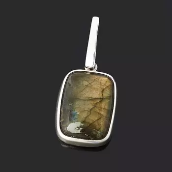 Кулон лабрадор (серебро 925 пр. родир. бел.) прямоугольник