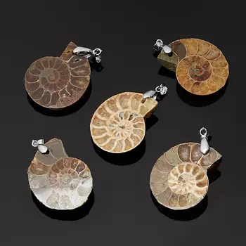 Кулон окаменелость (биж. сплав) 4,5-5 см